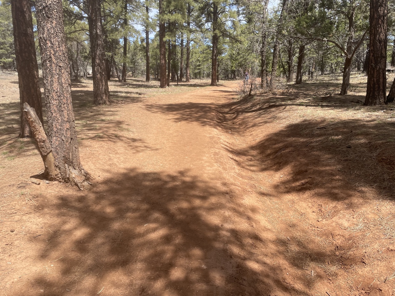 Shosone Point Trailhead - Photo by NPS, Public Domain